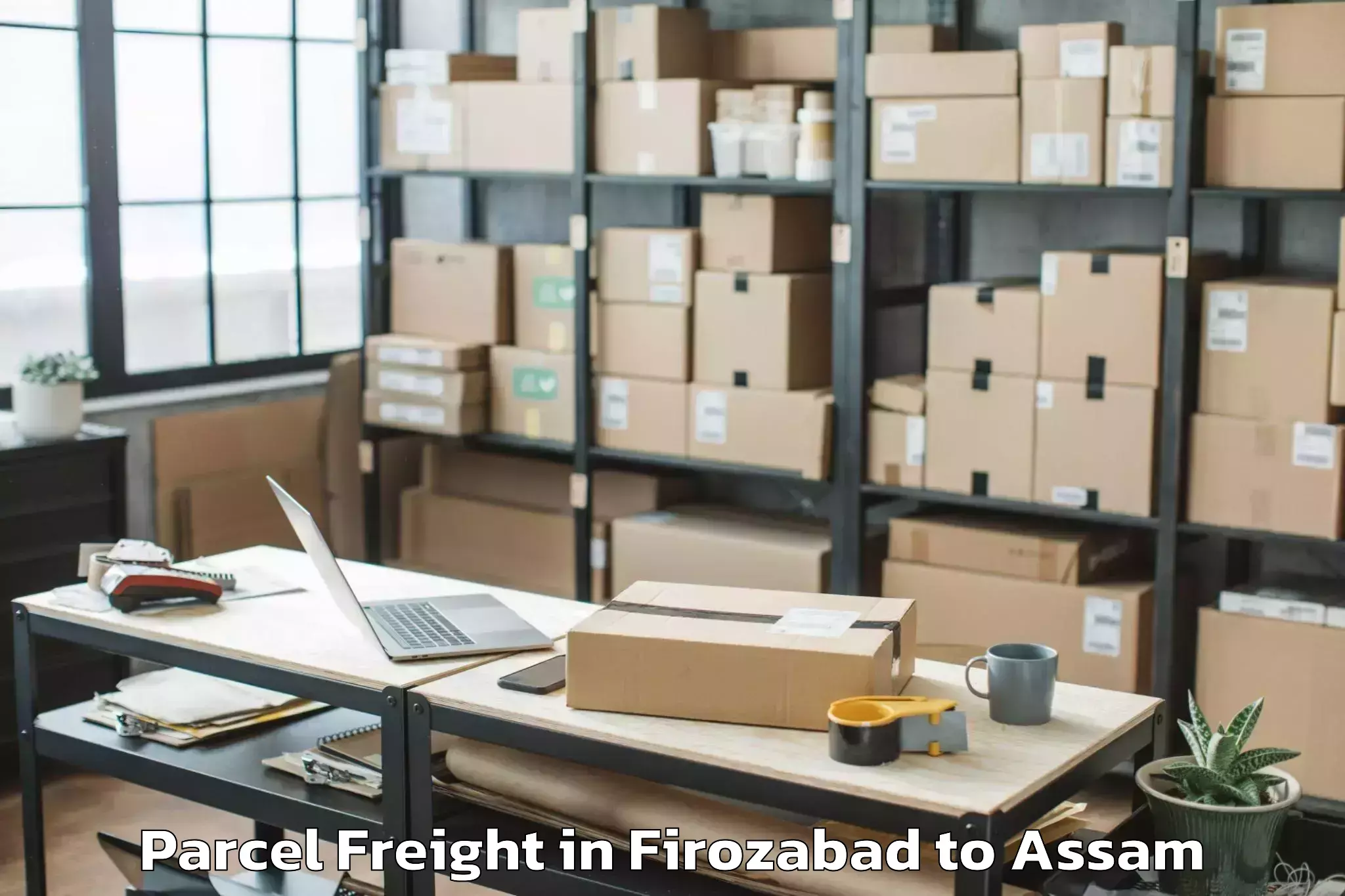 Hassle-Free Firozabad to Tezpur University Tezpur Parcel Freight